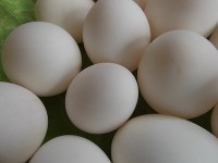 duck eggs.jpg