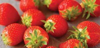 How-to-buy-strawberries.jpg